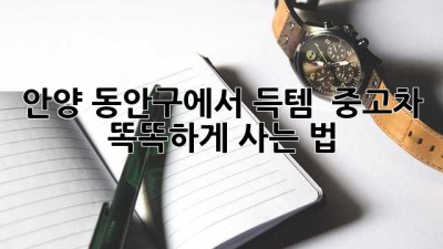 안양 동안구에서 득템?! ✨ 중고차 똑똑하게 사는 법! 🚗💨
