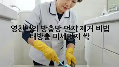 🏡 영천댁의 방충망 먼지 제거 비법 대방출! #미세먼지 싹! 💨