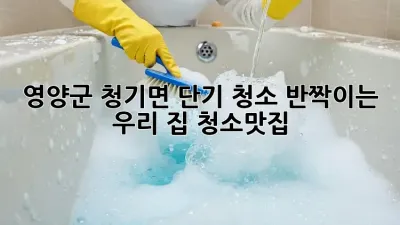 ✨영양군 청기면 단기 청소, ✨반짝이는 우리 집🏡 #청소맛집