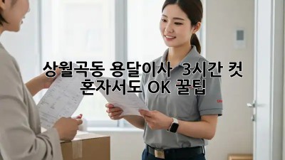 상월곡동 용달이사 🚀 3시간 컷?! 혼자서도 OK 꿀팁🍯